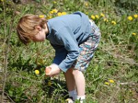 DSC_0592 (LARGE).JPG